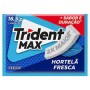 Goma Trident 16,5G Max Hortela Fresca