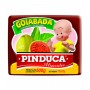 Goiabada Pinduca 500G