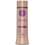 Shampoo Haskell 300ML Ametista