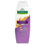 Shampoo Palmolive 350G Lisos Radiantes