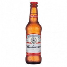 Cerveja Budweiser 330Ml Long N.