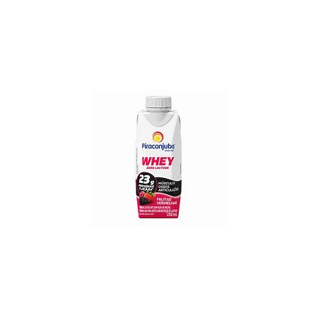 Bebida Láctea Whey  250ml Frutas Vermelhas Zero Lactose